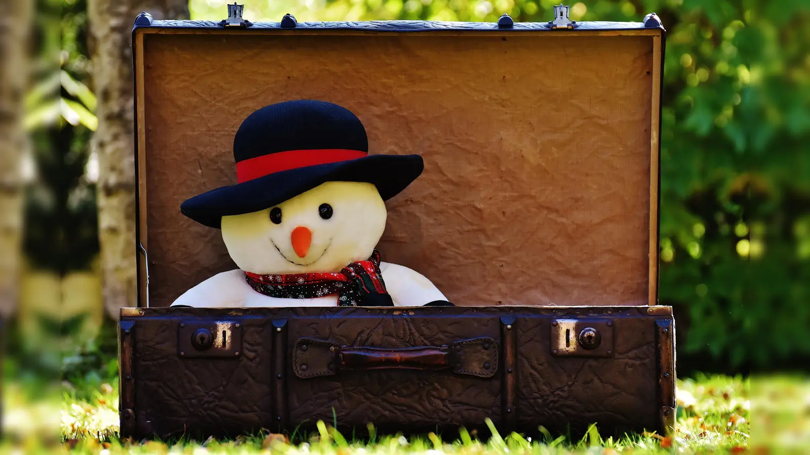 Bei der Versteigerung der Fundsachen vom Münchner Flughafen dürfen sich die Besucher über so manche Überraschung freuen.  (Foto: CCO)