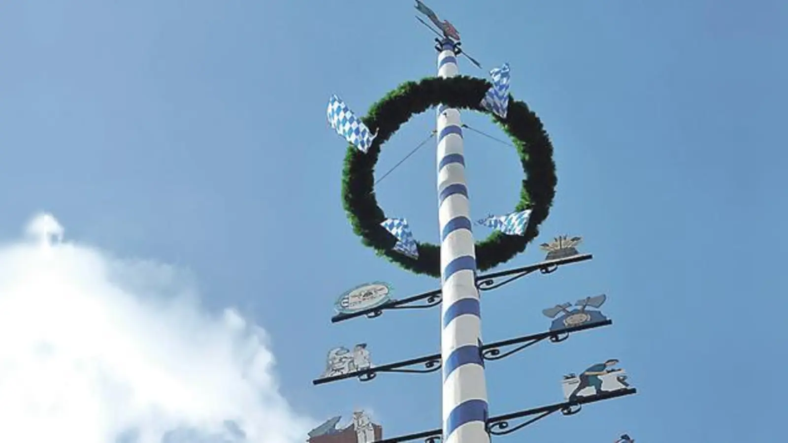 Lange steht der Maibaum nicht mehr auf dem Hans-Mielich-Platz: Am Samstag wird sein Abschied gefeiert.	 (Foto: VA)