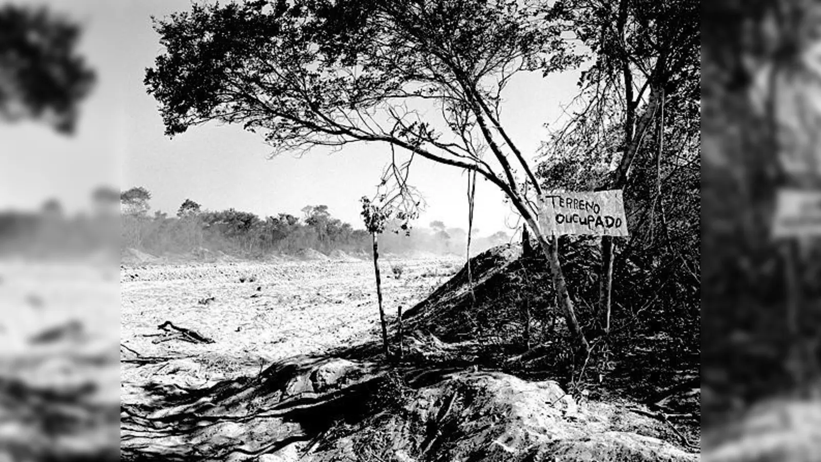 Ehemalige Kriegsschauplätze stehen im Mittelpunkt der Fotoausstellung.	 (Foto: Ractliffe)