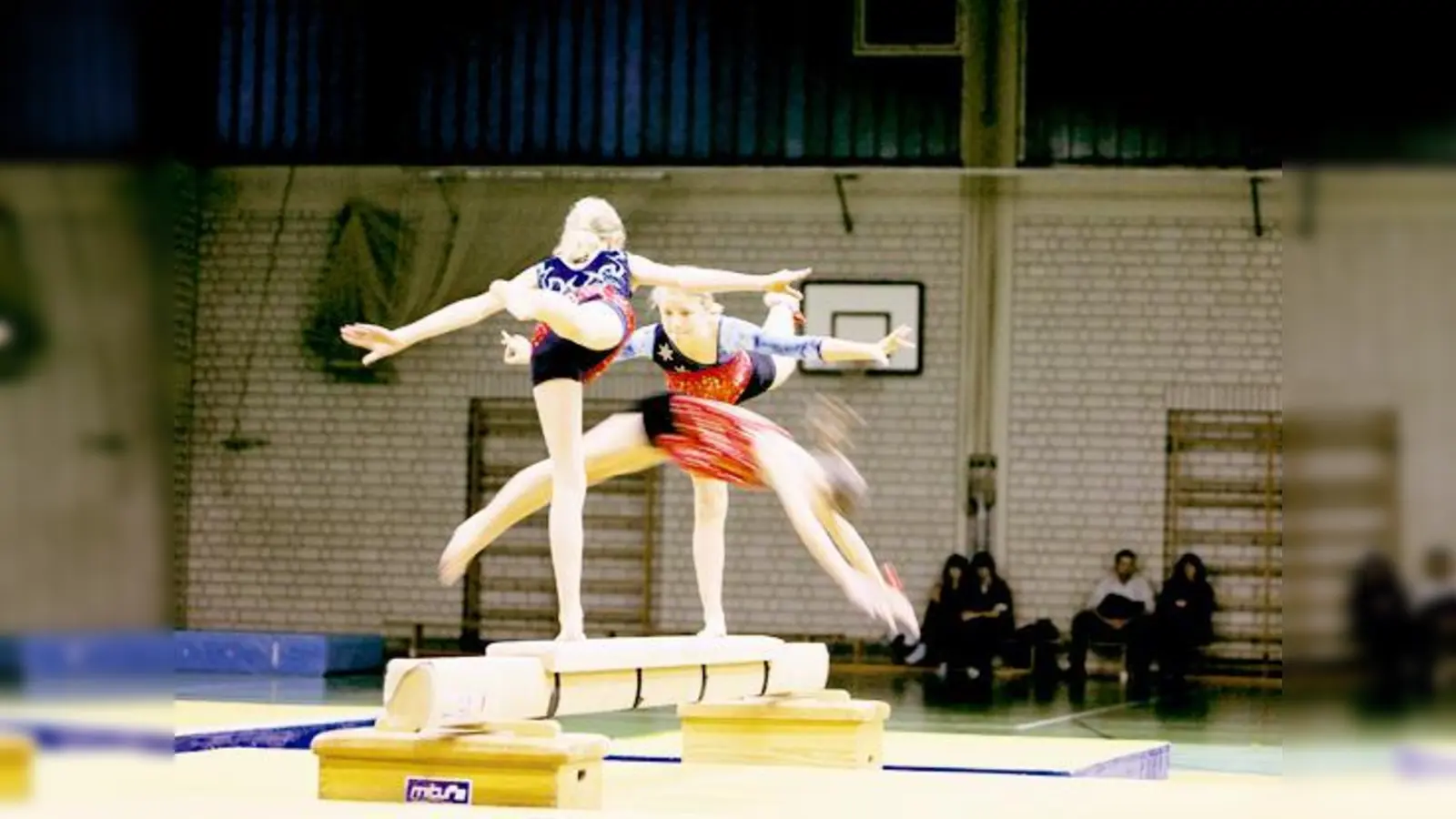 Unter dem Motto »Circus« stand das diesjährige Weihnachtsturnen des VfR Garching.	 (Foto: Privat)