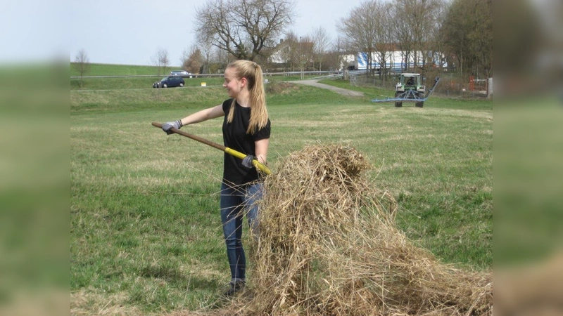 Beim FÖJ in der Unteren Naturschutzbehörde fallen vielfältige Aufgaben an. Hier arbeitet eine Teilnehmerin bei der Mahd einer Streuobstwiese. (Foto: LRA)