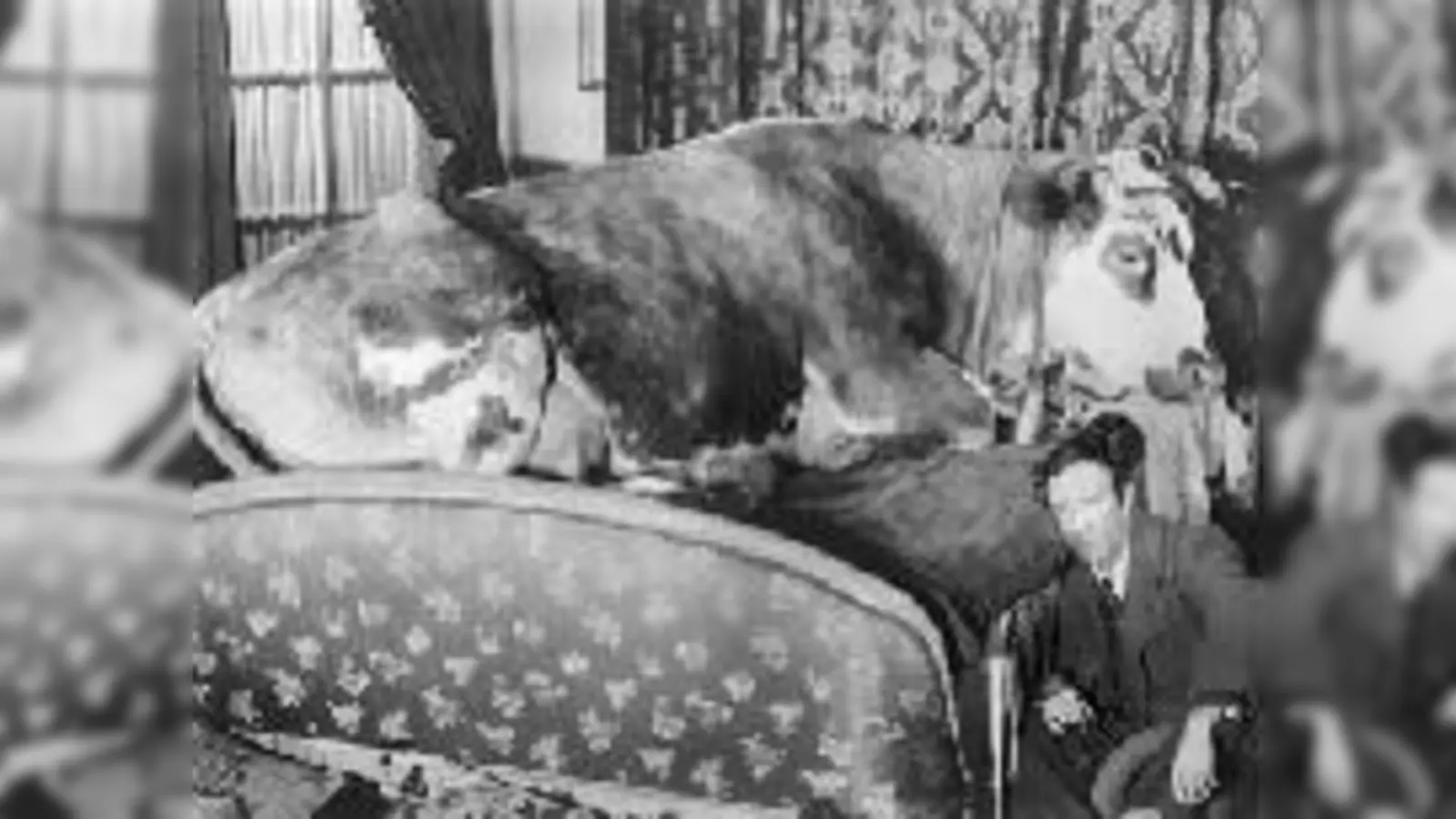 Lage Dor sorgte in den 1930er-Jahren für einen Skandal.  (Quelle: Stadtmuseum)