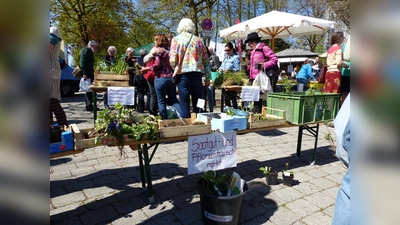 Zusätzlich zum Bauern- und Spezialitätenmarkt findet wieder ein Saatgut- und Pflanzentauschmarkt statt. (Foto: VA)