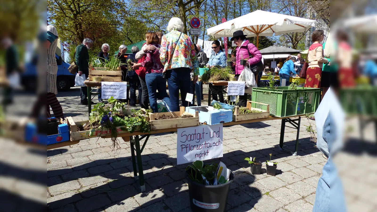 Zusätzlich zum Bauern- und Spezialitätenmarkt findet wieder ein Saatgut- und Pflanzentauschmarkt statt. (Foto: VA)