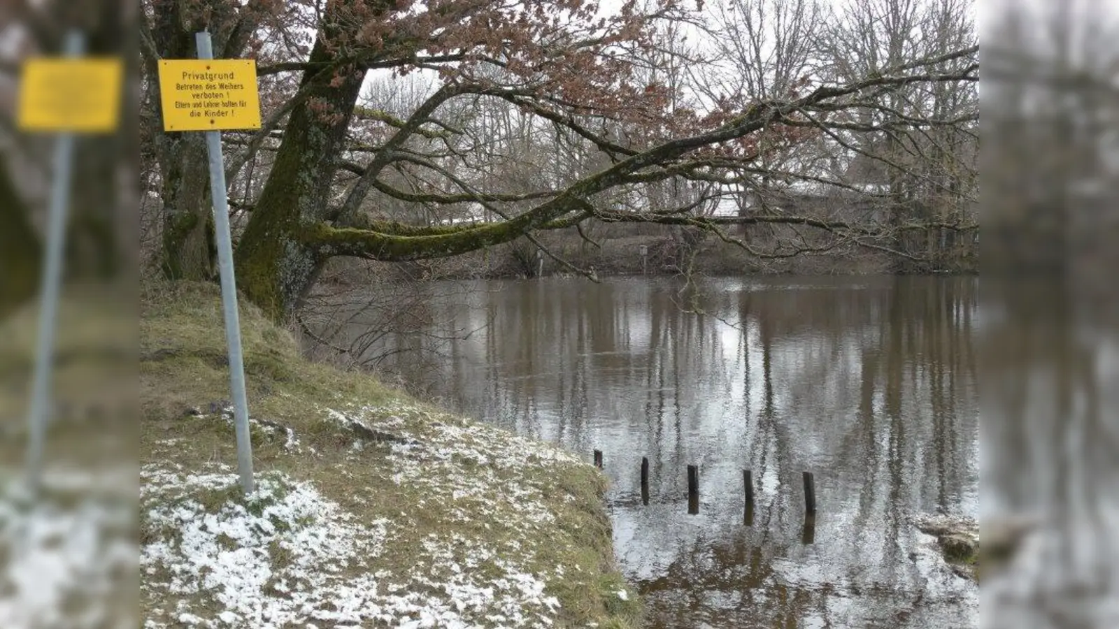 Muss dringend saniert werden: der Warnberger Weiher. (Foto: tab)