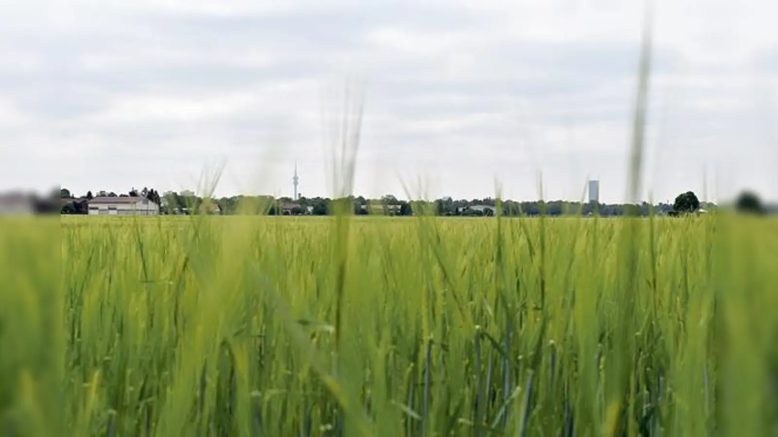 Die Angst vor den drei Buchstaben: »SEM« steht für »Städtebauliche Entwicklungsmaßnahme« und bedeutet kurz zusammengefasst das Aus für viele Bauernhöfe.	 (Fotos: Mielcarek)