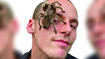 Hautkontakt mit Spinne: Bei der Ausstellung kann man den Tieren richtig nah kommen. (Foto: Giovanno Neigert)