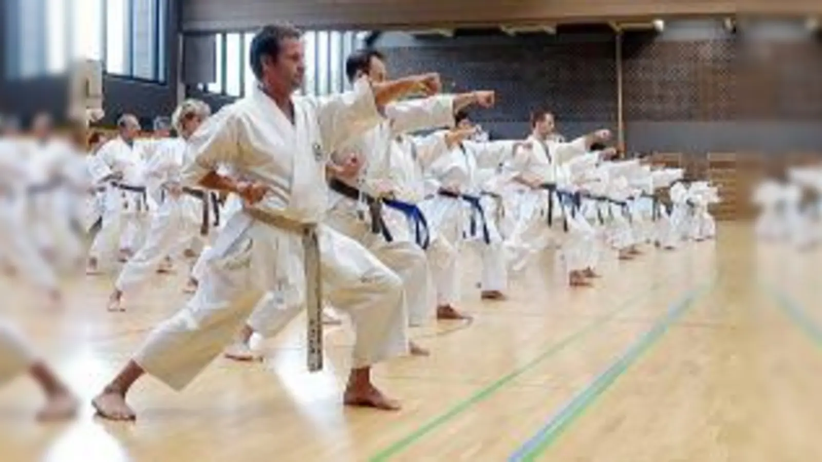 Kämpfen für einen guten Zweck. Bild: Seiko Karate (Foto: Seiko Karate)