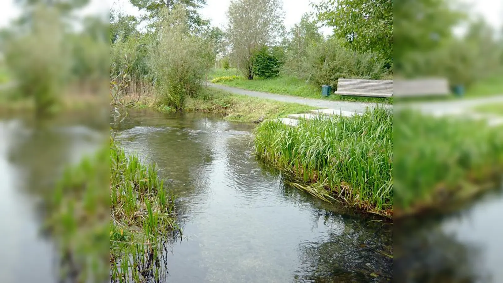 Solch eine Idylle soll in Berg am Laim in den nächsten Jahren entstehen.  (Foto: Baureferat)