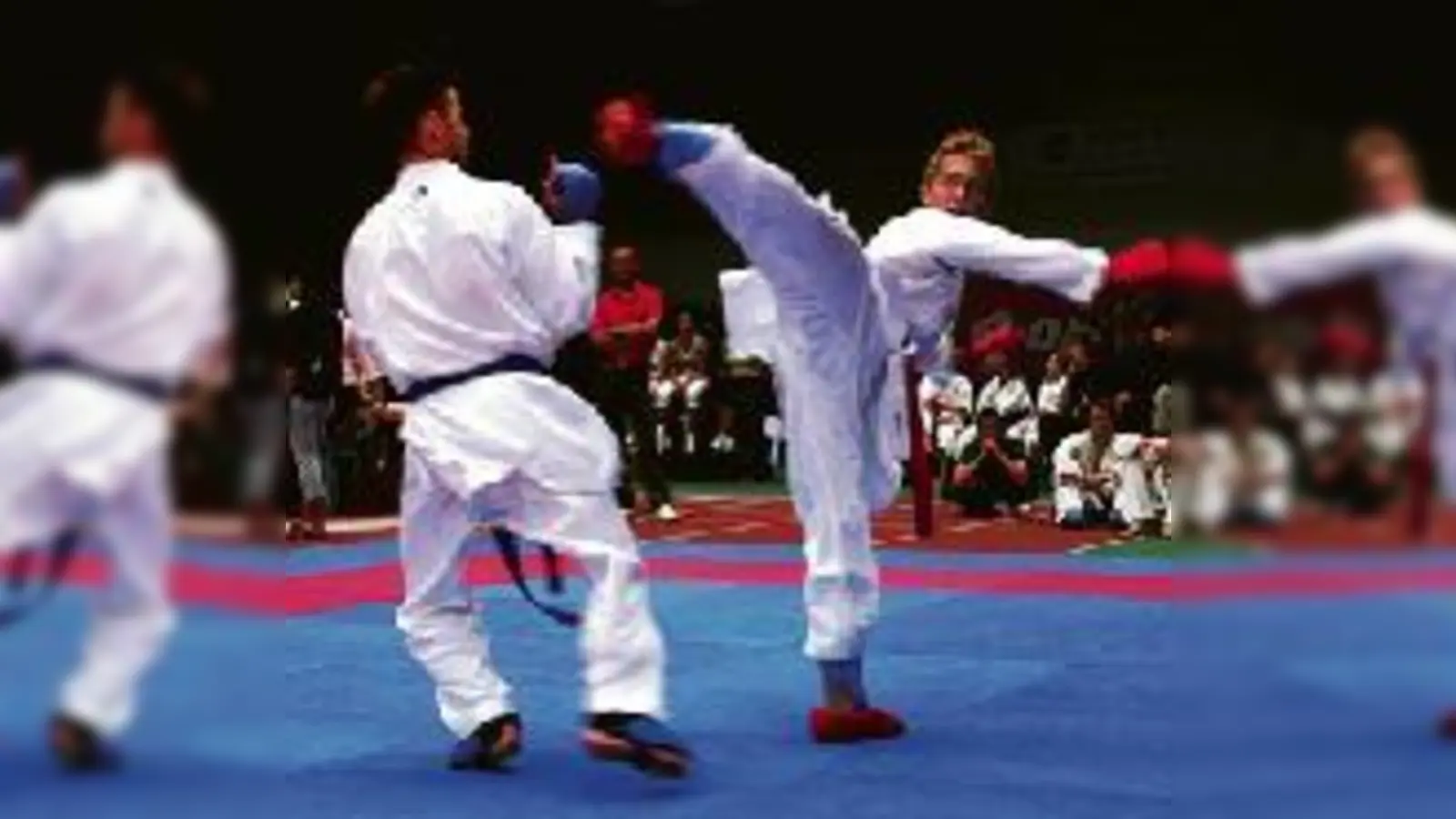 Kumite: Eine der vielen  (Karatedisziplinen.Foto: VA)