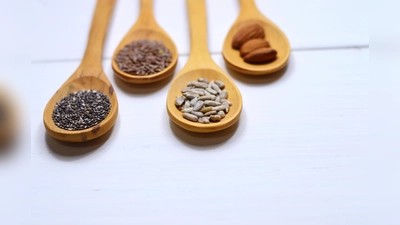 Eine Palette alter und samenfester Kultursorten und ein buntes Rahmenprogramm erwartet die Besucher beim Saatgut-Festival im Ökologischen Bildungszentrum. (Foto: CC0)