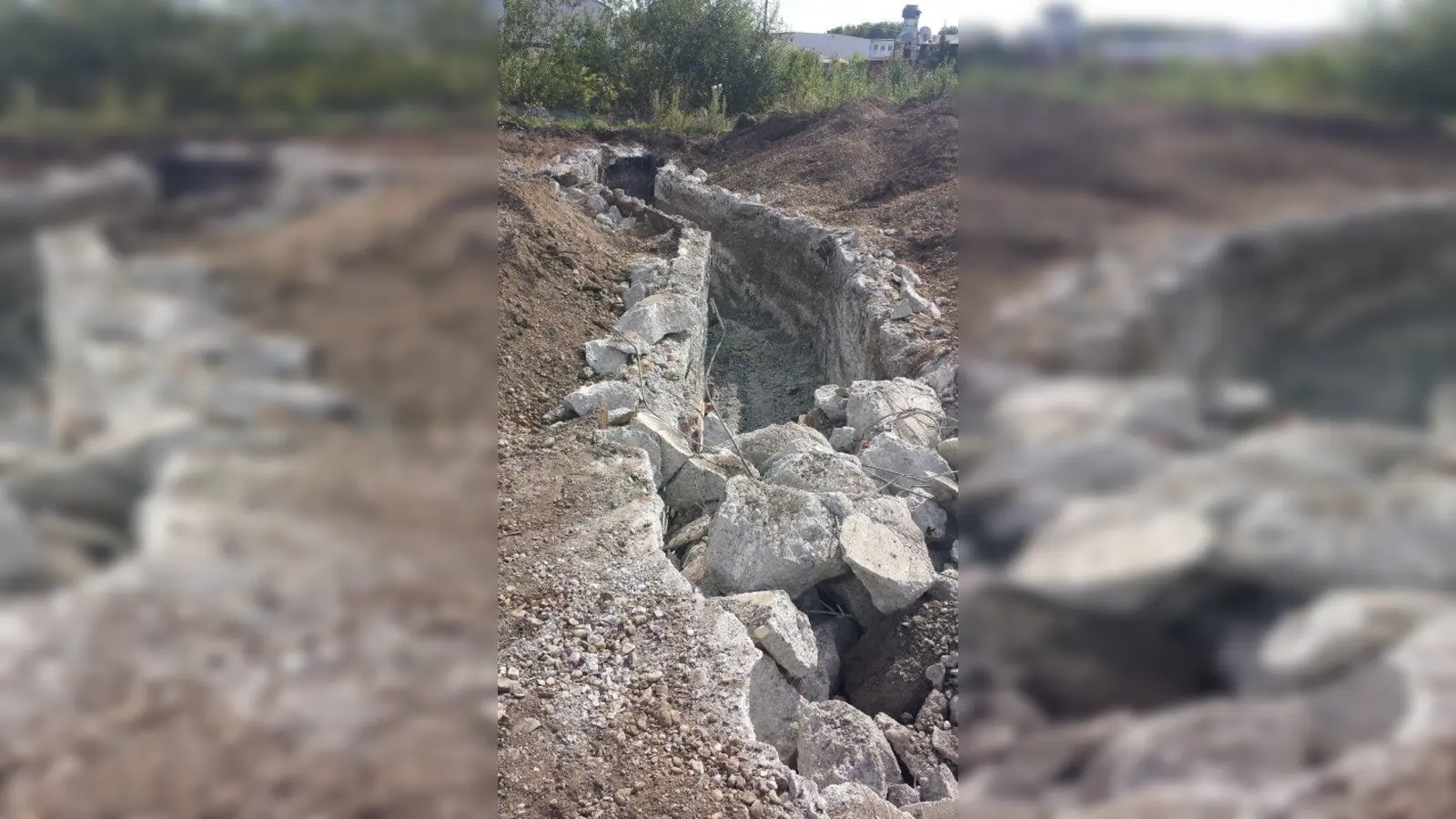 Bild 3 (Foto: Demmel)