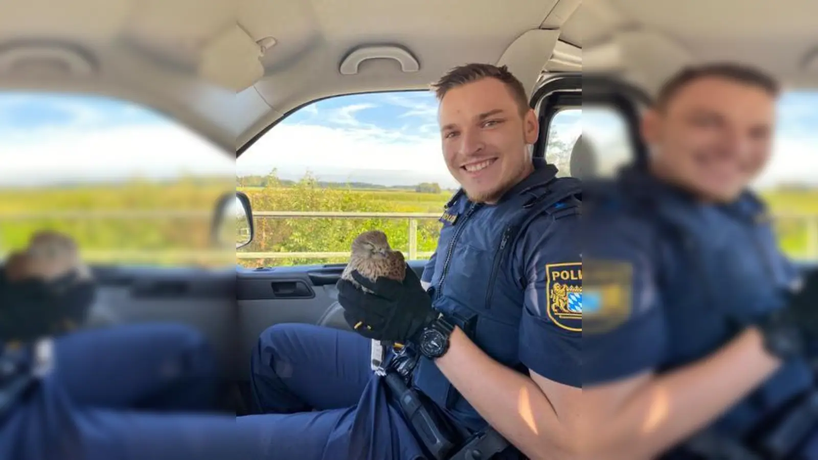 Der Falke konnte unverletzt von der Autobahn gerettet werden.  (Foto: PP Poing )