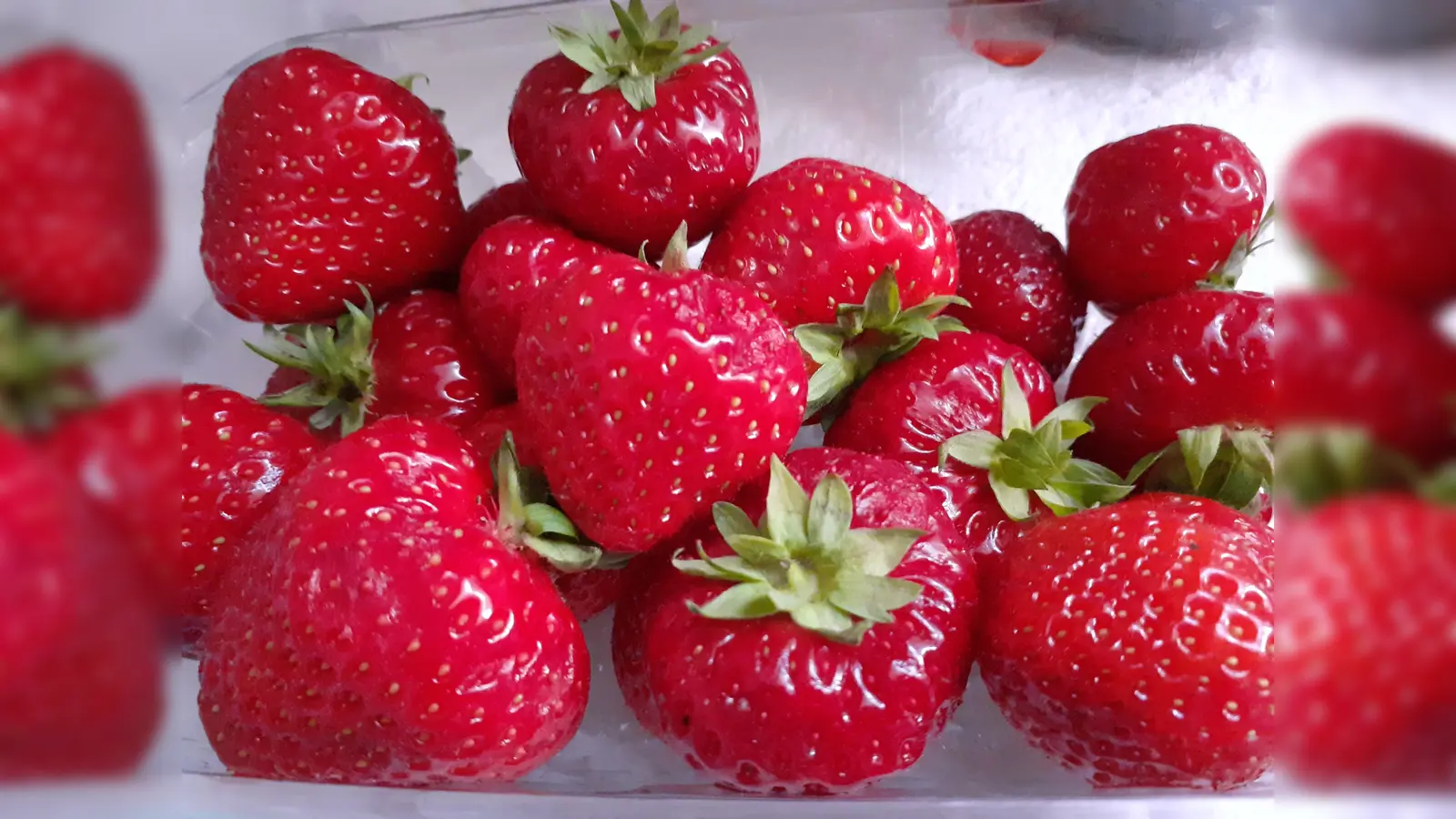 Mit dem Ferienprogramm der Feierwerk Südpolstation kommt man auch zum Erdbeerfeld.  (Foto: mha)