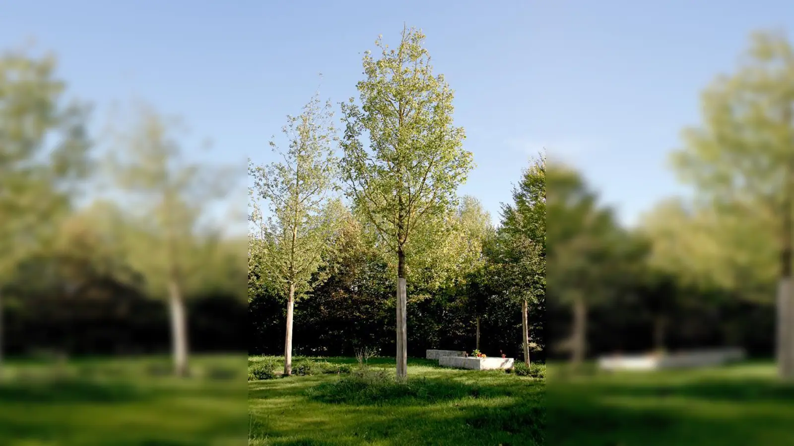 Foto: Thomas Klönhammer