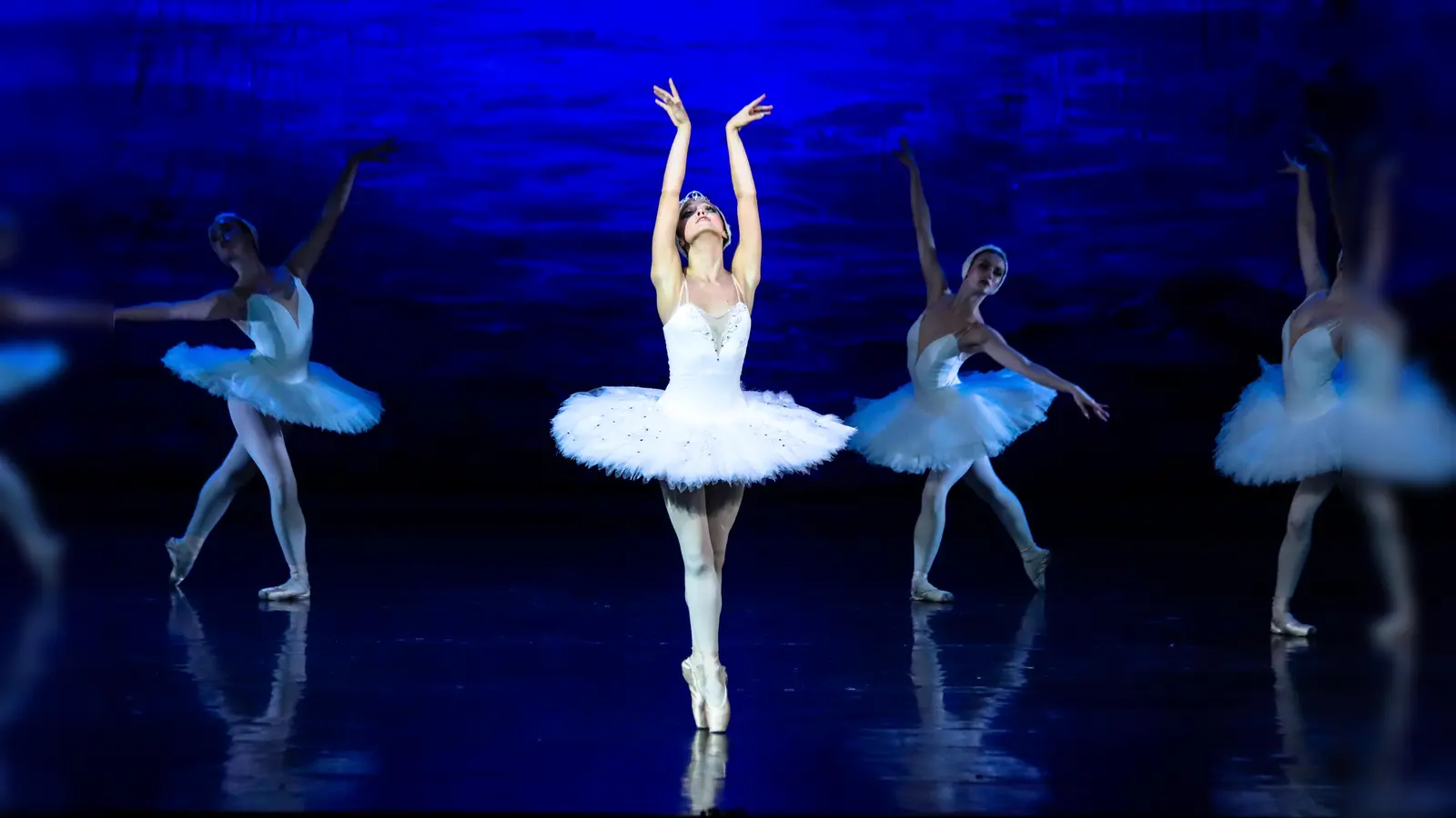 Auf das Ballett Schwanensee darf man sich am 22. Dezember im Cuvilliés Theater freuen. (Foto: Klassik Konzert Dresden)