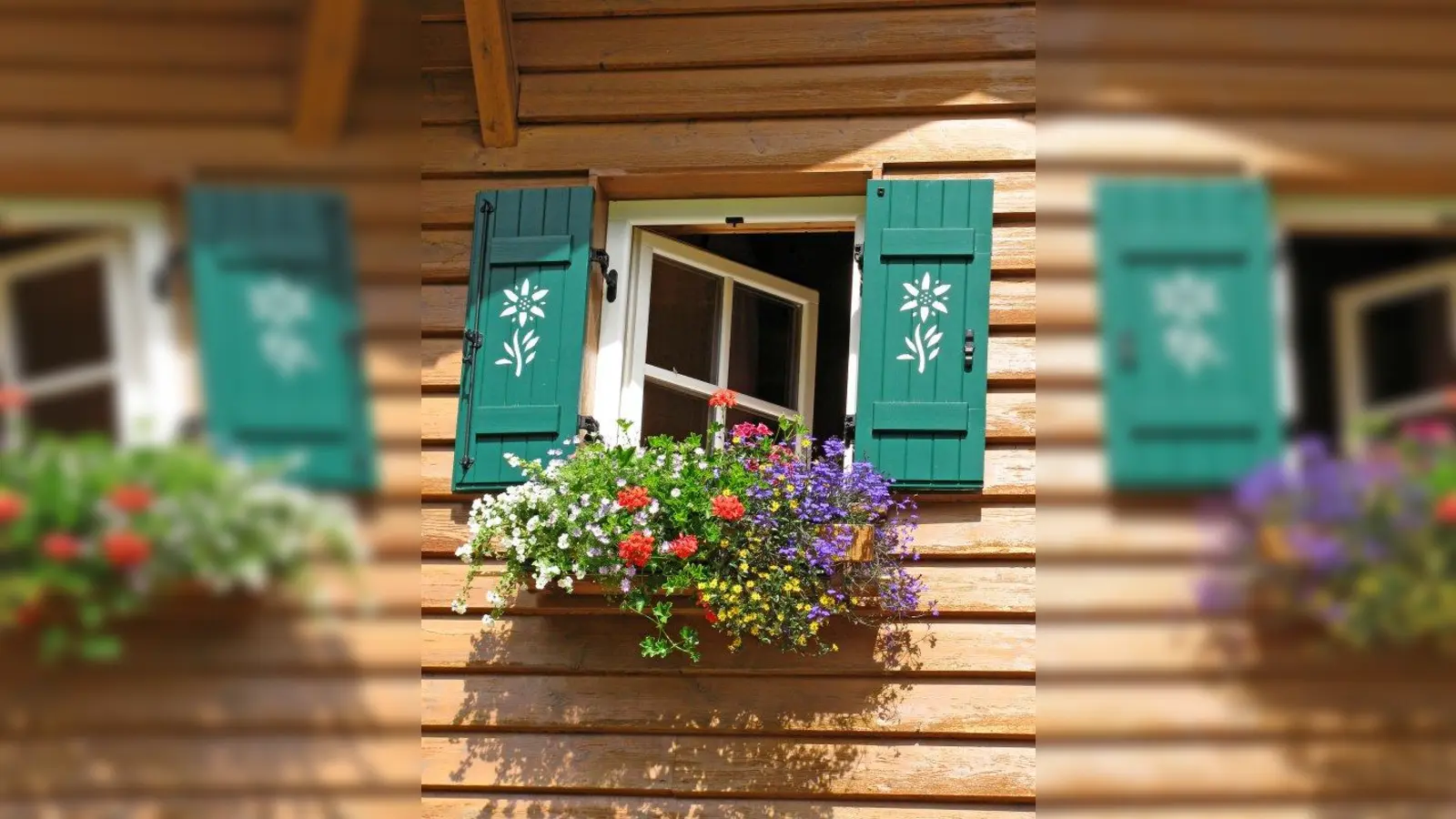Farbenfrohe Fensterläden sind ganz schnell selbst gemacht. In wenigen Schritten hat man einen echten Hingucker an der Hauswand. (Foto: Thommy Weiss/pixelio)