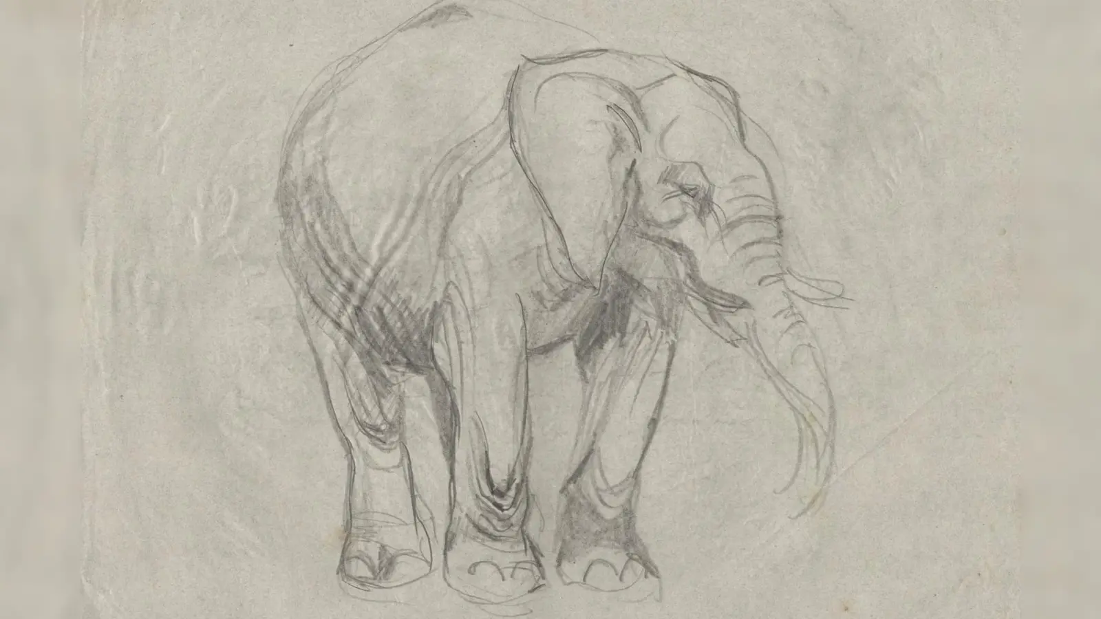 Zeichnung eines Elefanten, entstanden um das Jahr 1921. (Foto: Museum Franz Xaver Stahl)