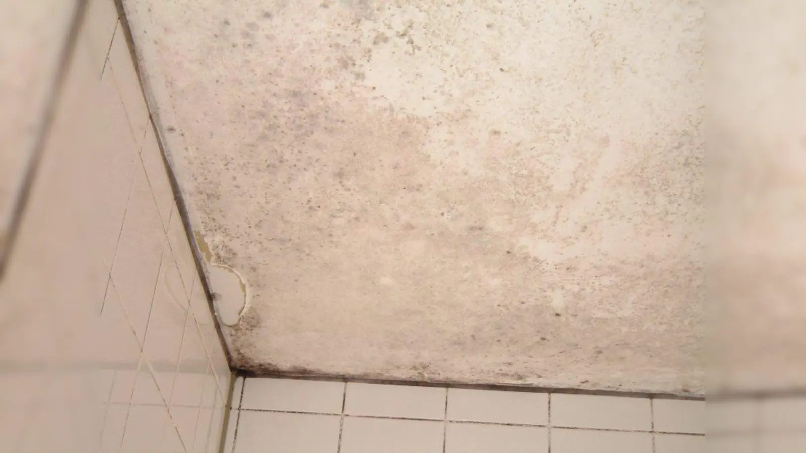 In den Duschen breitet sich der Schimmel seit drei Jahren aus. (Foto: AH)