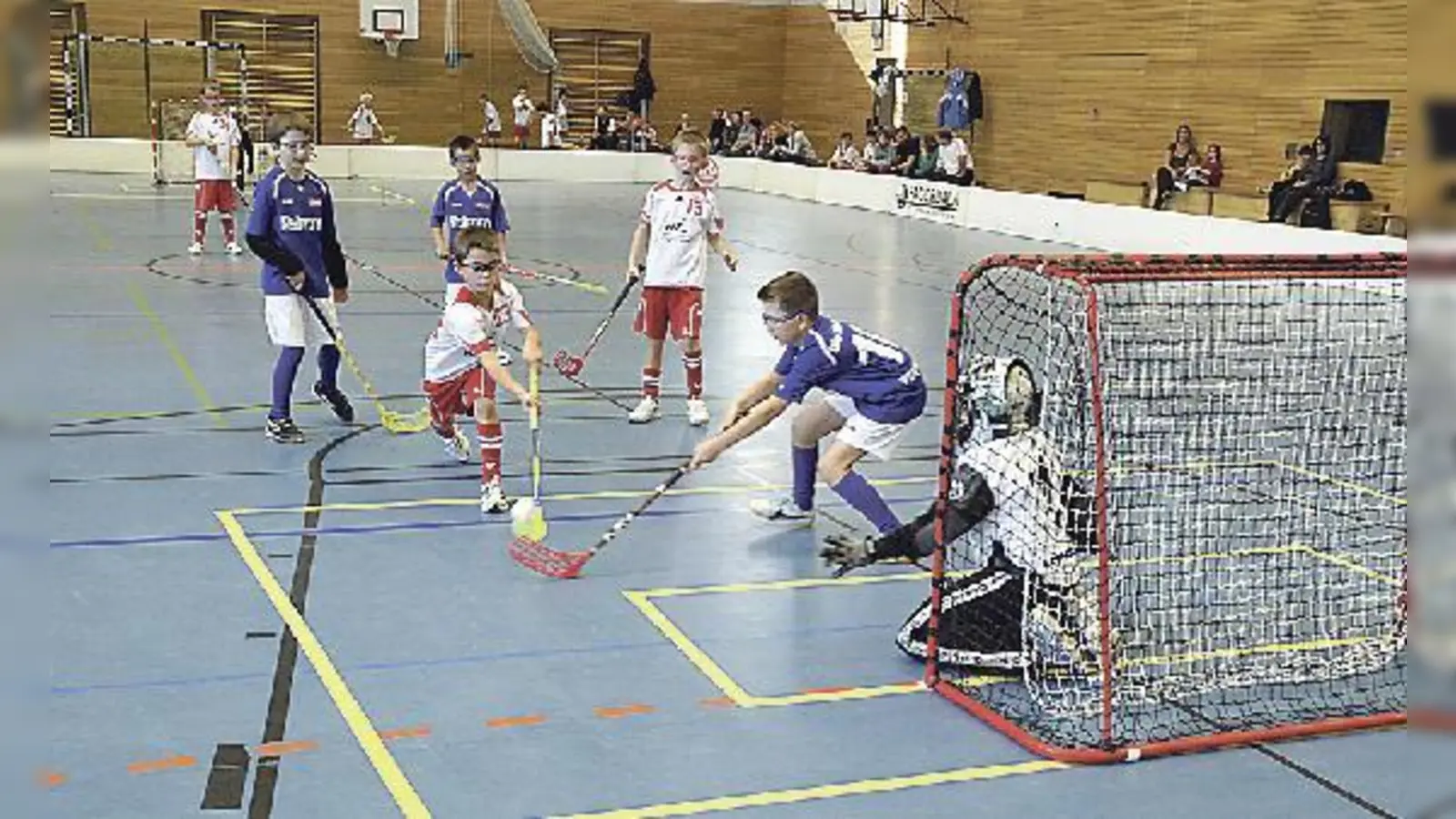 Die Floorballwikinger wurden wieder auf den Boden der Tatsachen geholt. 	 (Foto: Verein)