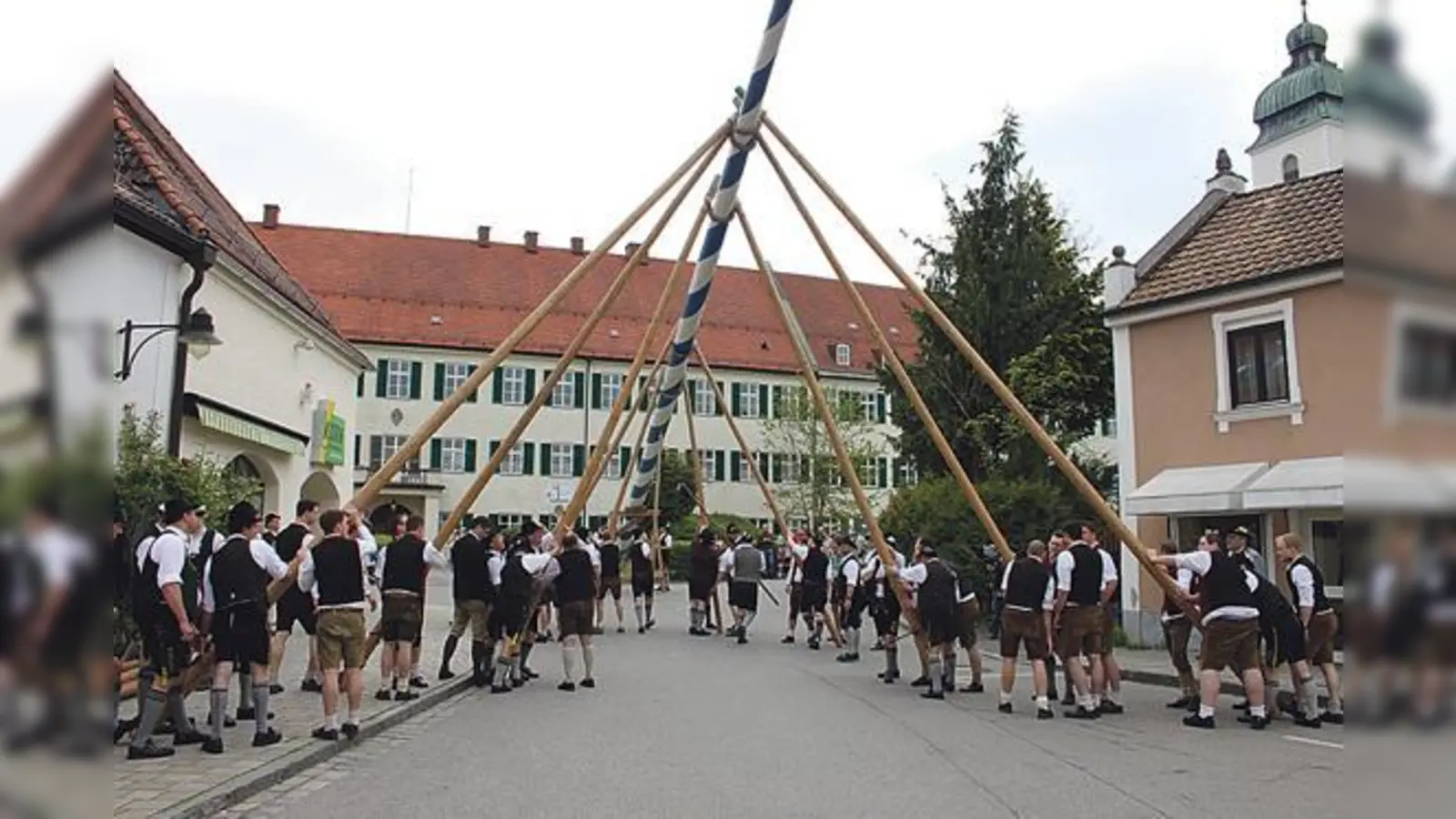 Nach vier Jahren wird heuer auch wieder in Ebersberg ein Maibaum aufgestellt. Wie es sich gehört ganz traditionell mit Schwaiberl und purer Manneskraft.	 (Foto: Barbara Lang)