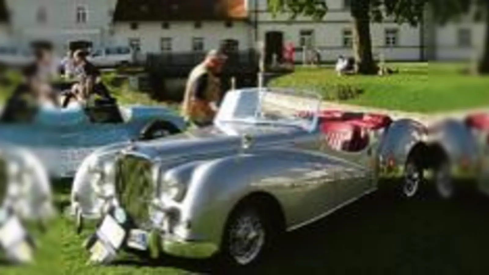 Wunderschöne Kurven  die Oldtimer lassen nicht nur Männerherzen höher schlagen. (Foto: VA)