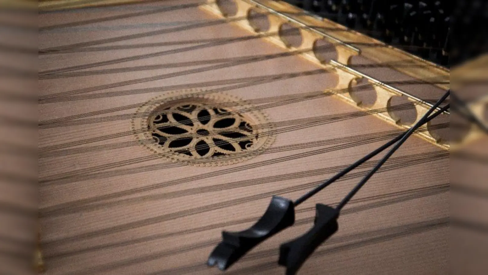 Das Hackbrett in all seinen Klangfacetten präsentieren die Schüler der Hochschule für Musik und Theater in einem Benefizkonzert für „Kinder helfen Kindern”. (Foto: Björn Hennecken)