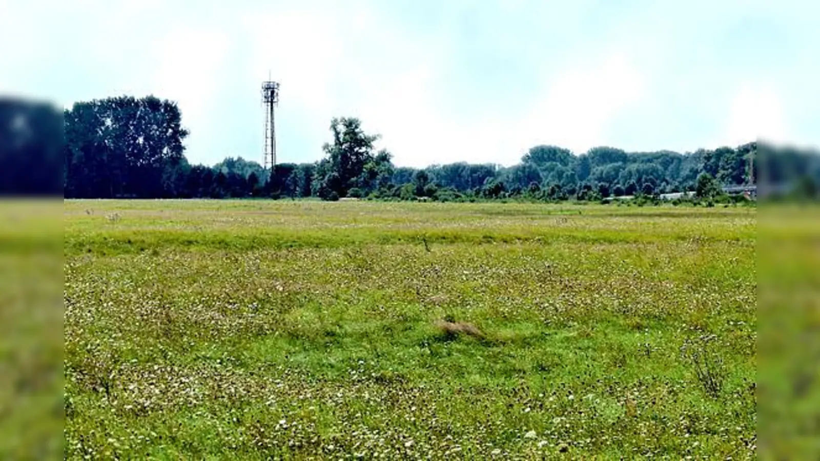 Rund um den ehemaligen Sendemast, wo jetzt noch ein kleiner Mobilfunkturm steht, plante ein Hallbergmooser Geschäftsmann einen Pferdehof. 	 (Foto: bb)