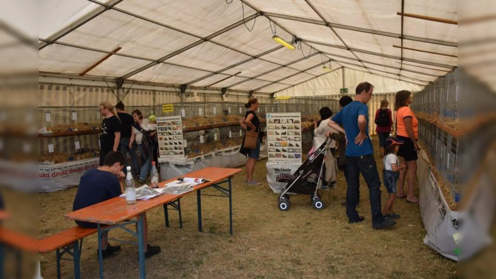 Das Publikum besichtigte die Kaninchen in ihren Käfigen. (Foto: Braun)