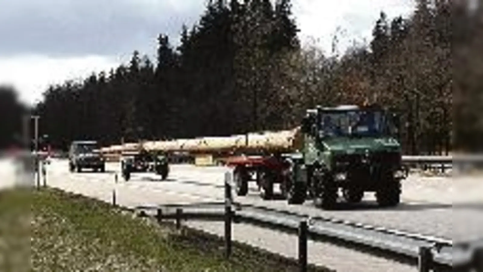 39 Meter langer Maibaum »on  (tour«.Foto: ba)