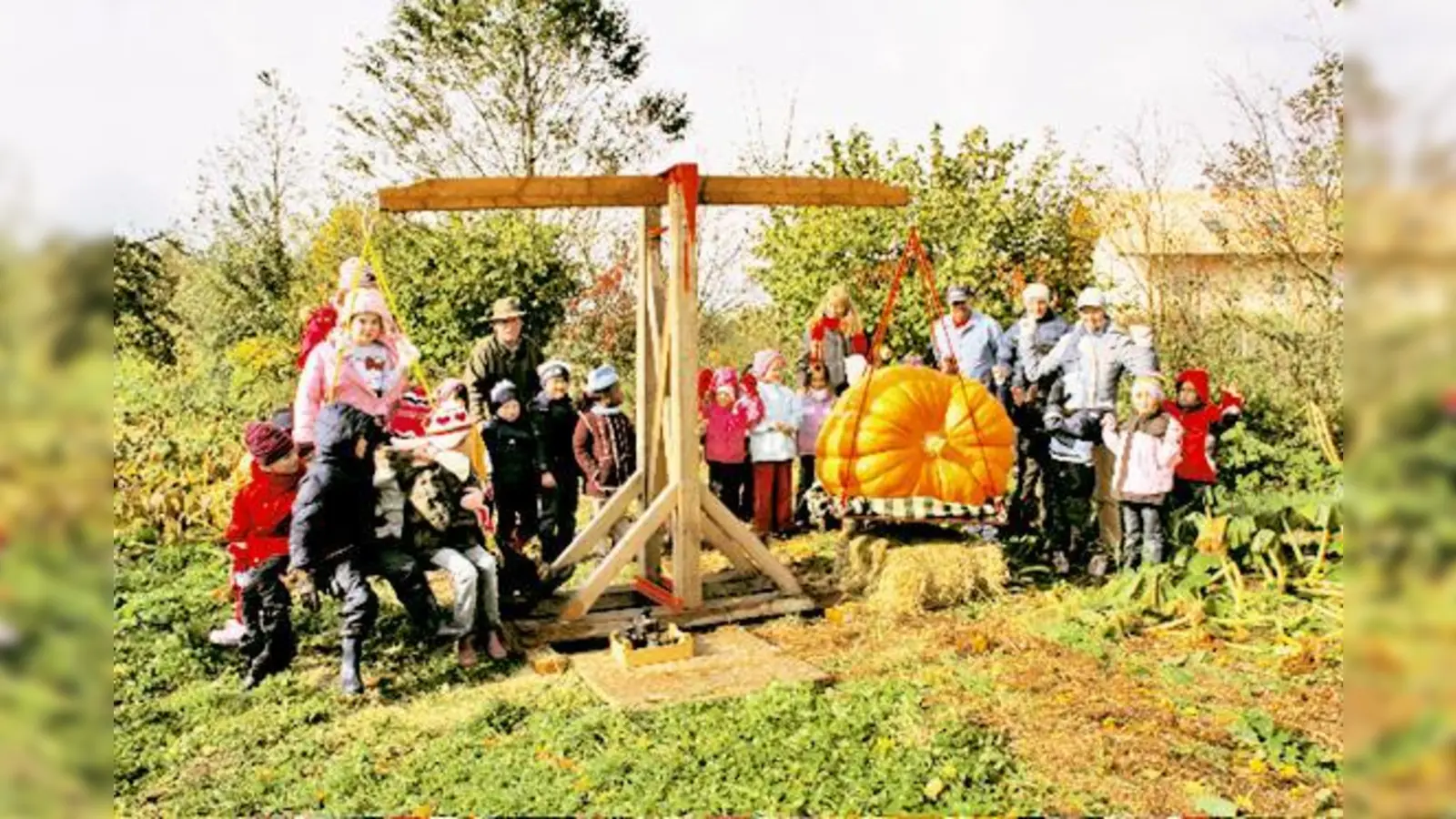 Der Riesenkürbis von Siegertsbrunn bringt das Gewicht von acht Kindern auf die Waage. (Foto: VA)
