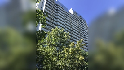 In der neuen Ausgabe gibt es unter anderem einen spannenden Beitrag zur Olympia-Pressestadt. (Foto: Daniel Mielcarek)