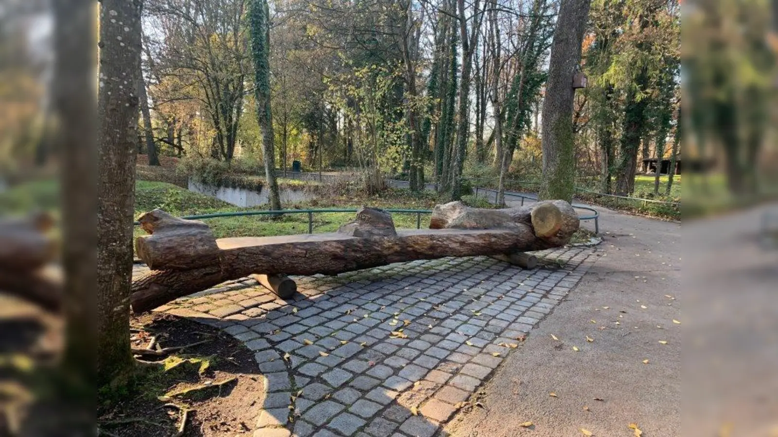 Am Murmeltiergehege kann man von dieser Eschenbank aus auch einen Blick auf die Damhirsche werfen. (Foto: Tierpark Hellabrunn)