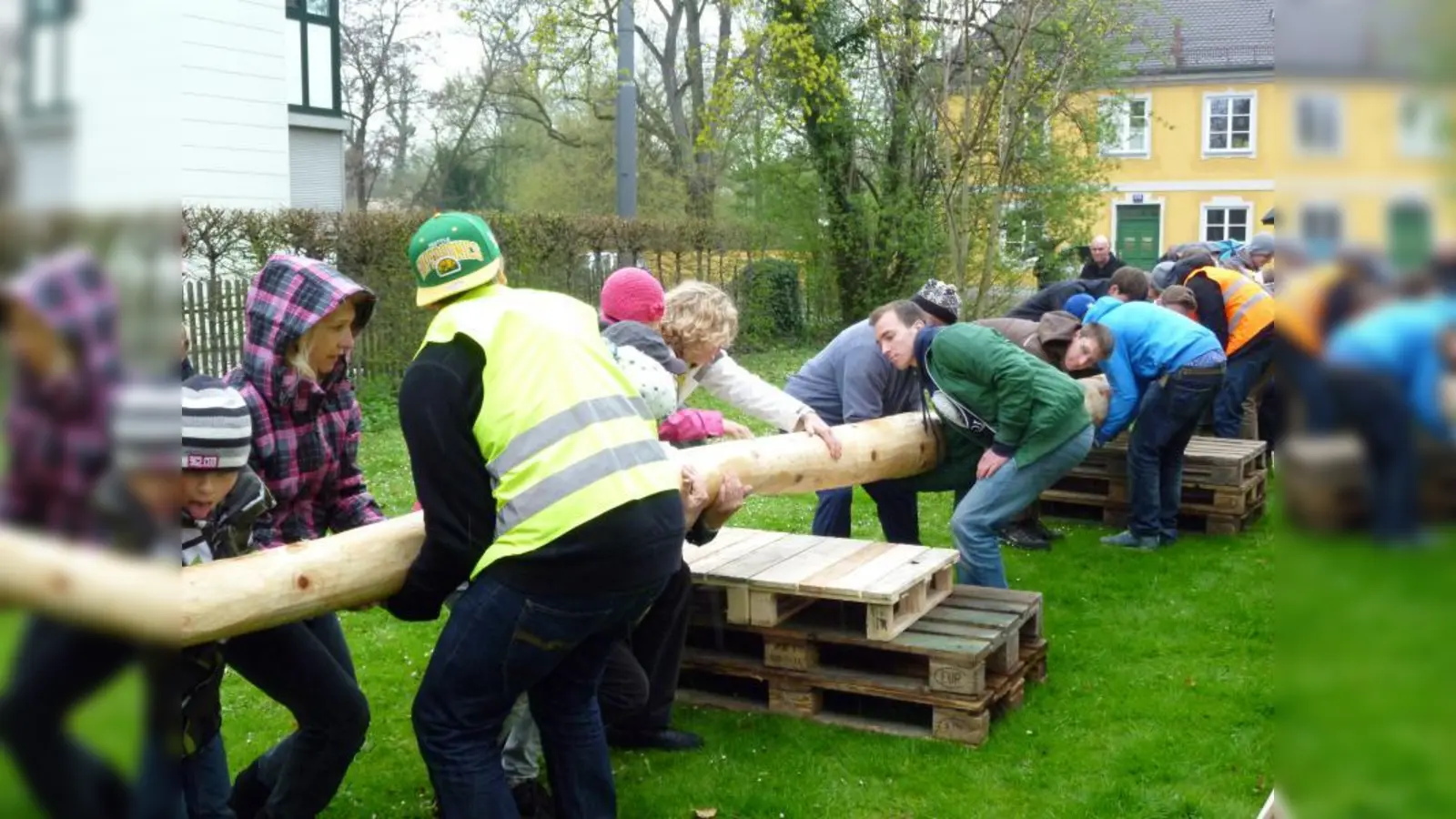 Mit vereinten Kräften wird der Laimer Maibaum am Dienstag, 1. Mai, zum Laimer Anger gebracht und um 12 Uhr aufgestellt. (Foto: BK)