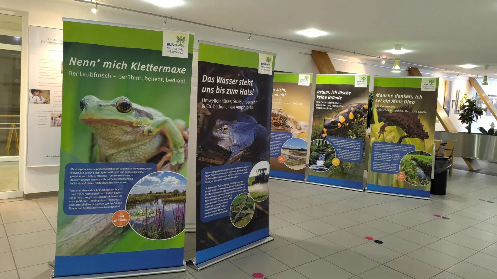 Informationen über die Lebensbedingungen von Fröschen und anderen Amphibien geben die Tafeln im Kreiskrankenhaus.  (Foto: Sonja Gaia )