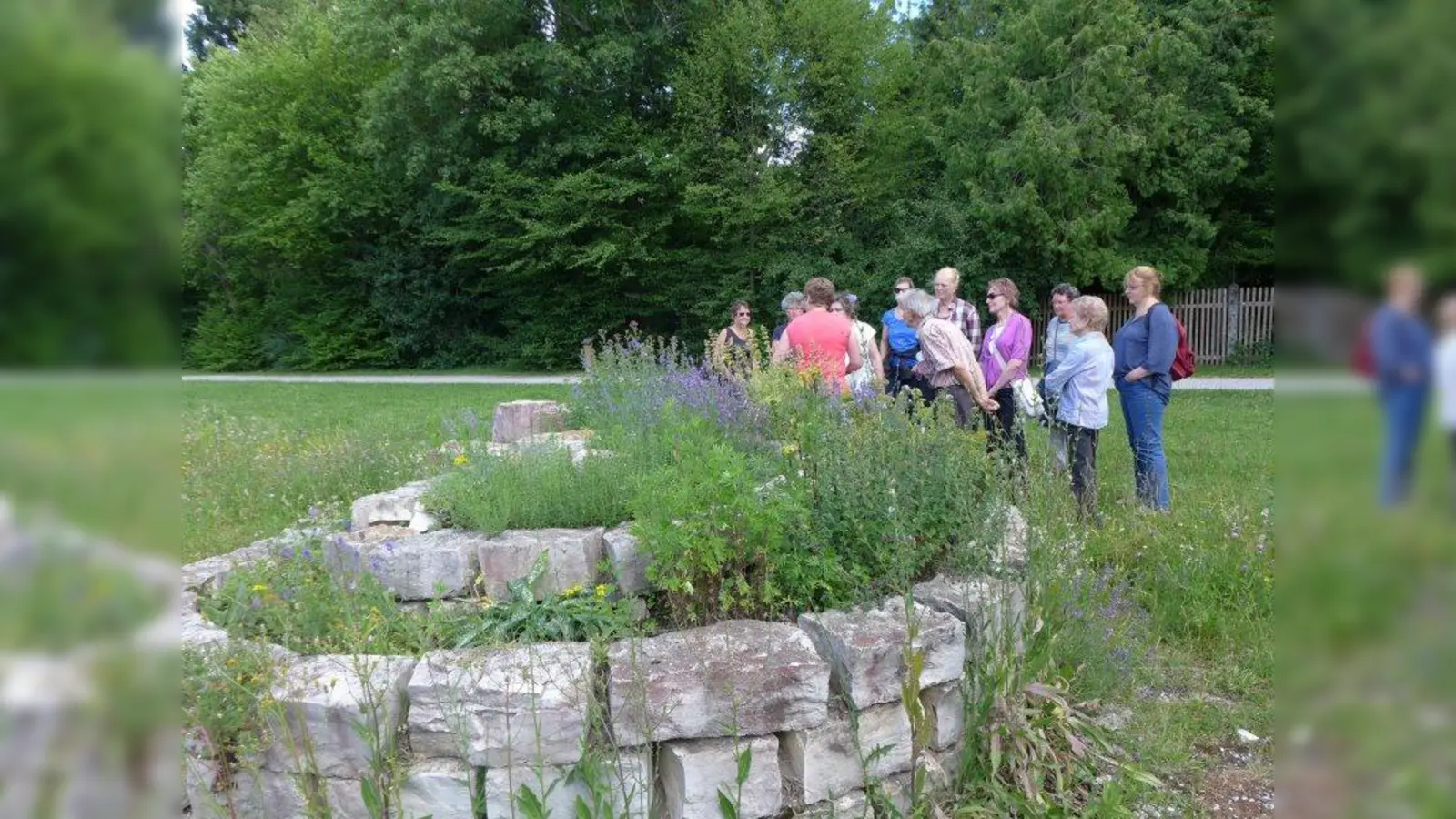 An der Kräuterschnecke beim Naturlehrpfad erklärt der Gartenbauverein gerne die Pflanzen. (Foto: Barbara Maria Zollner)