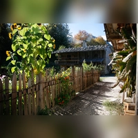 Bauerngarten in goldenem LIcht. (Foto: Markus Wasmeier)