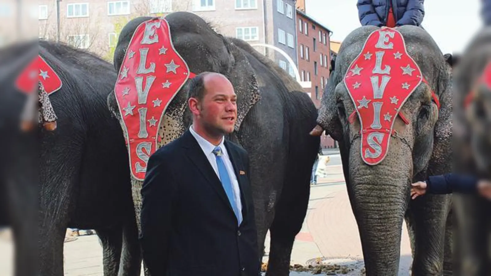 Hier fühlt sich Sascha Grodotzki wohl: Der Tourneeleiter des Circus Voyage liebt die Nähe zu den Tieren ebenso wie zu den Menschen.	  (Foto: Circus Voyage)