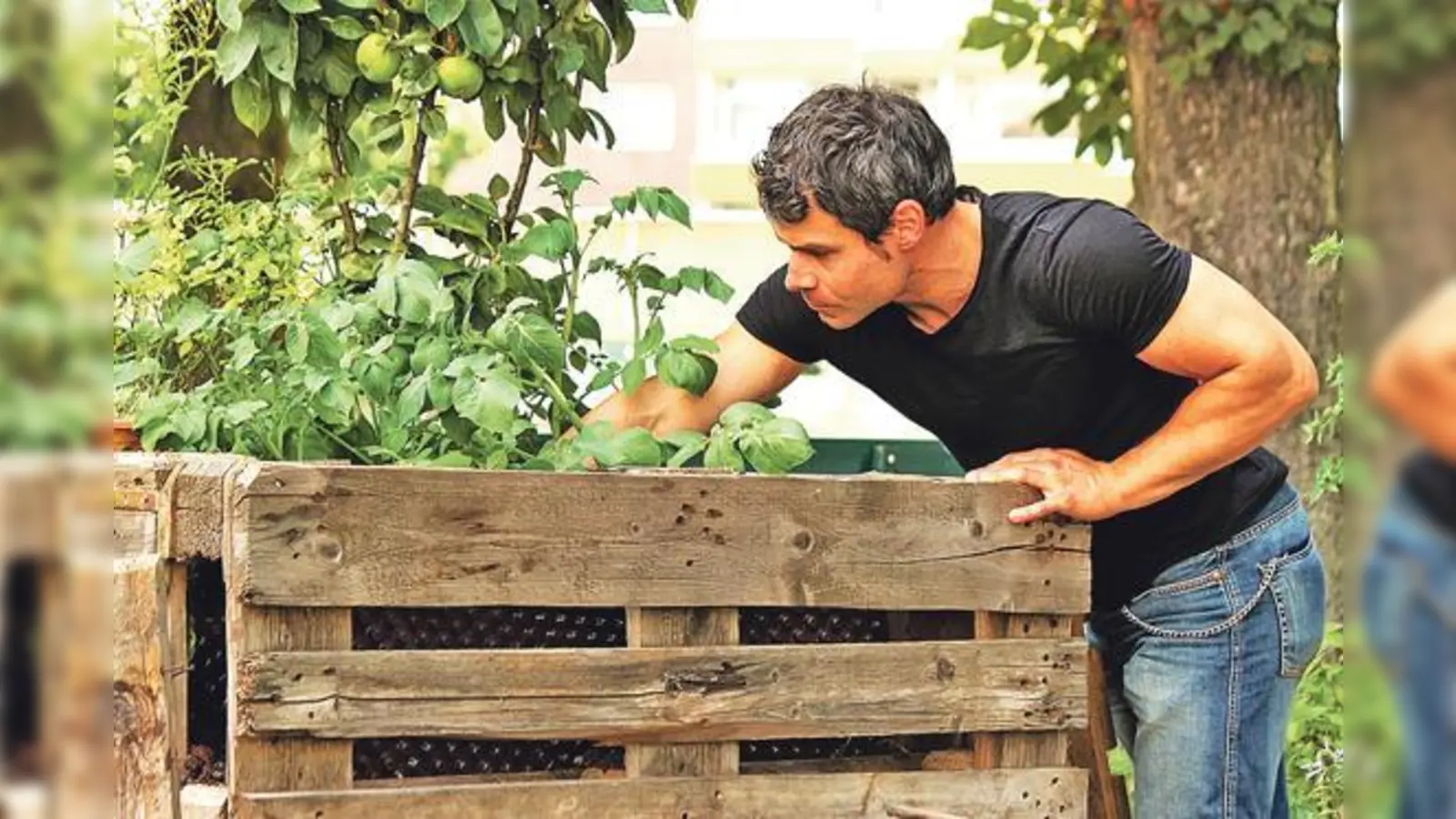 Unter allen Anmeldungen werden die Beete verlost.	  (Foto: VA)