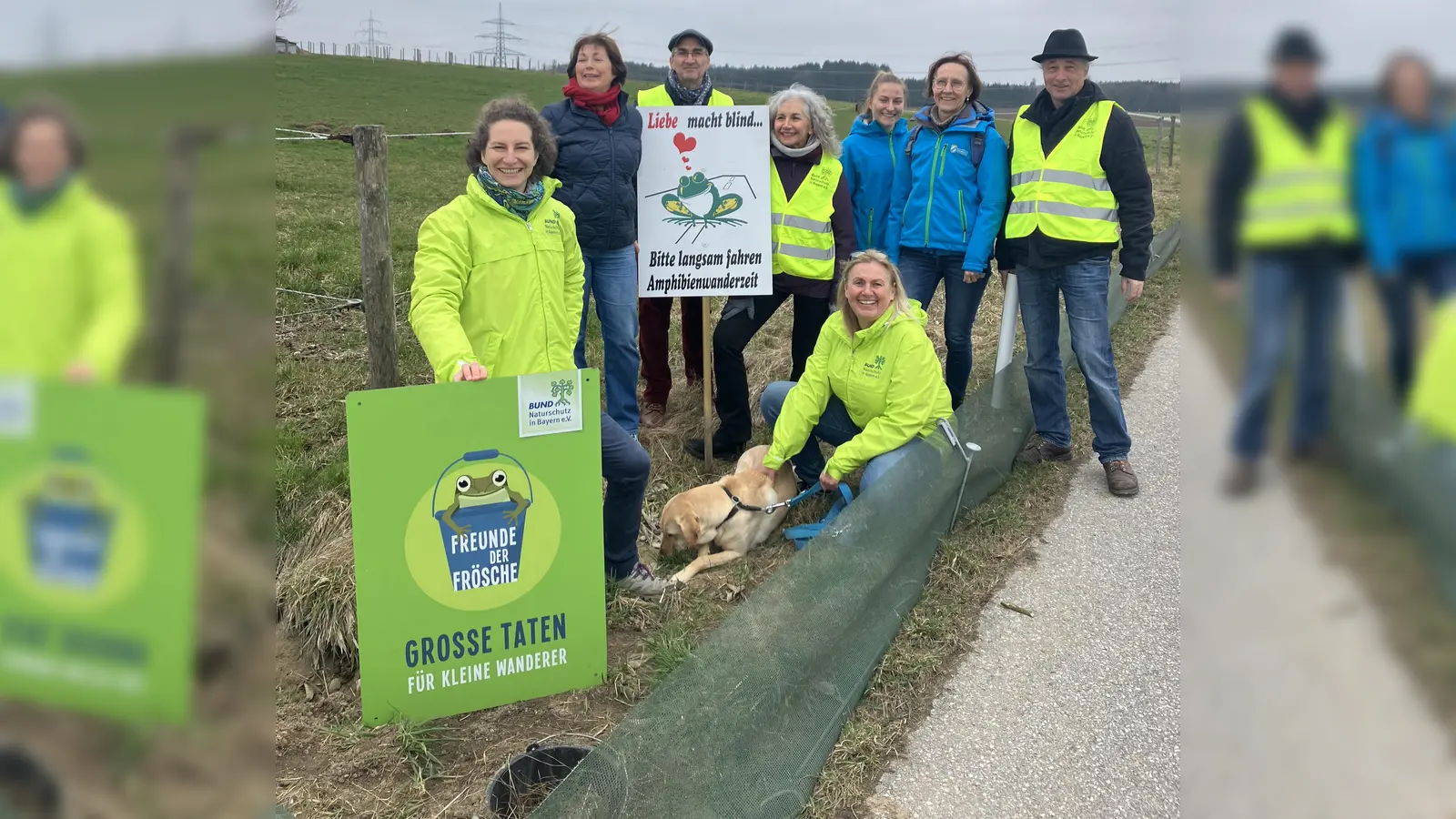 Julika Schreiber (BN), Maria Wirnitzer (stv. Brgm. Vaterstetten), Gregor Häuser (BN Vaterstetten), Sabine Kaps (Zaunbetreuerin), Anna Heckel (NB), Dr. Roswitha Holzmann (stv. Leiterin der Unteren Naturschutzbehörde) (vorne links), Uwe Peters (BN), Regina Wegemann (Geschäftsführerin der Kreisgeschäftsstelle des BN) am Krötenzaun. (Foto: Anna Steinhart)