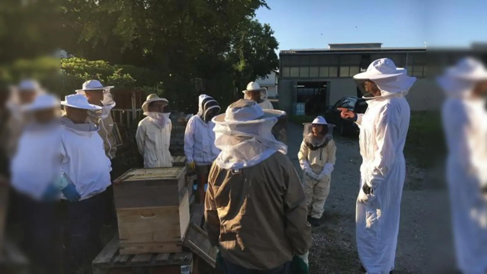 Der Umgang mit Bienen erfordert Wissen und Erfahrung. Letztere kann man nur in der Praxis erwerben.  (Foto: Bienenfreunde Erding e.V.)