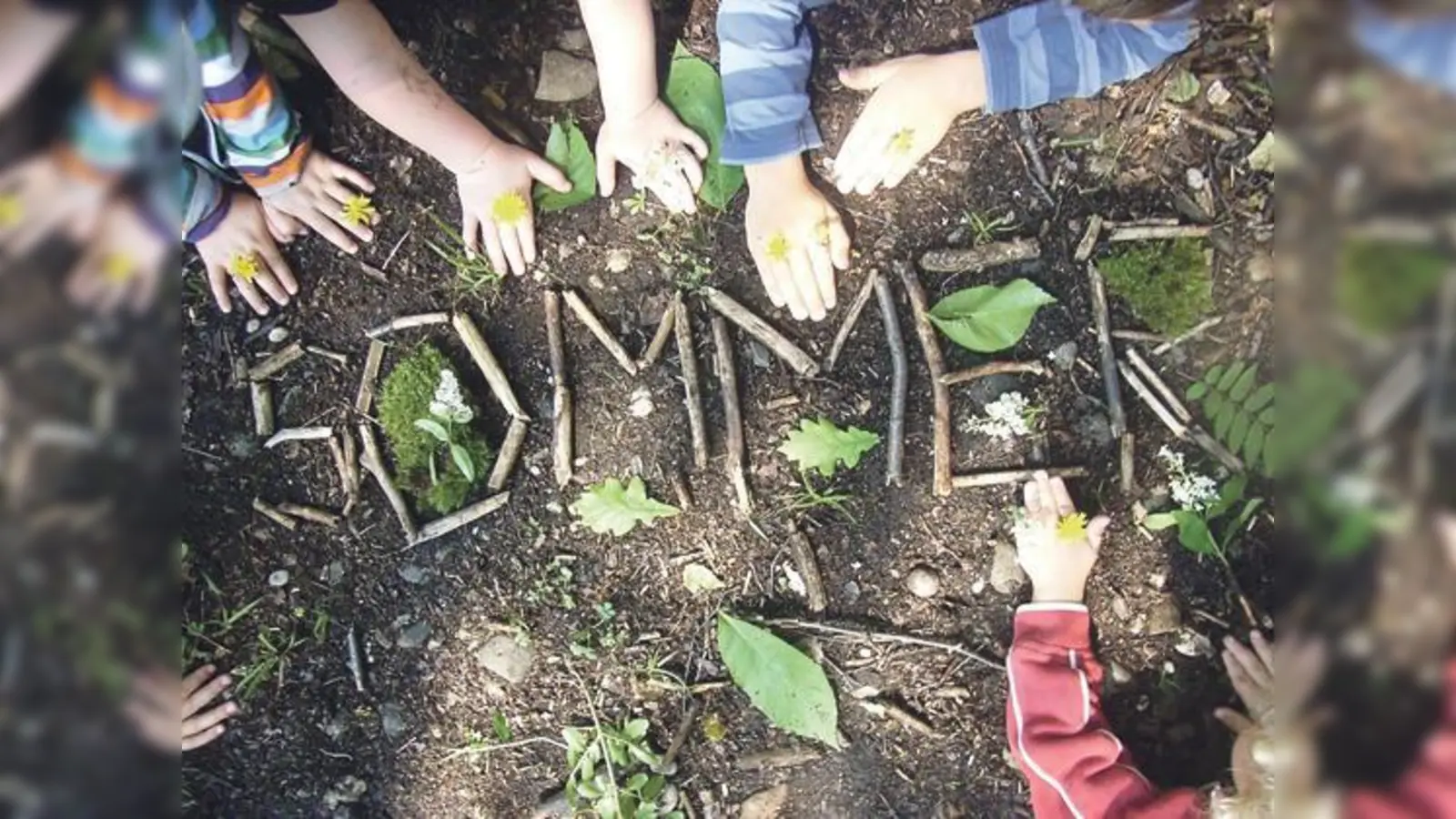 Seit 1. April erobern neun Kinder den wilden Wald am Rangierbahnhof in der Fasanerie.   (Foto: VA)
