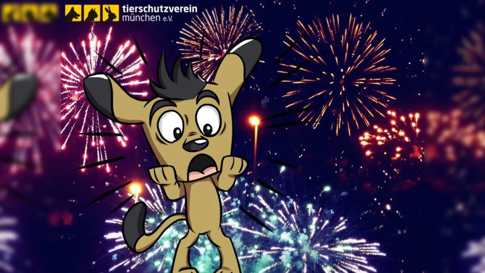 Für Tiere ist sie purer Stress: die Silvesternacht. (Foto: © Tierschutzverein München)
