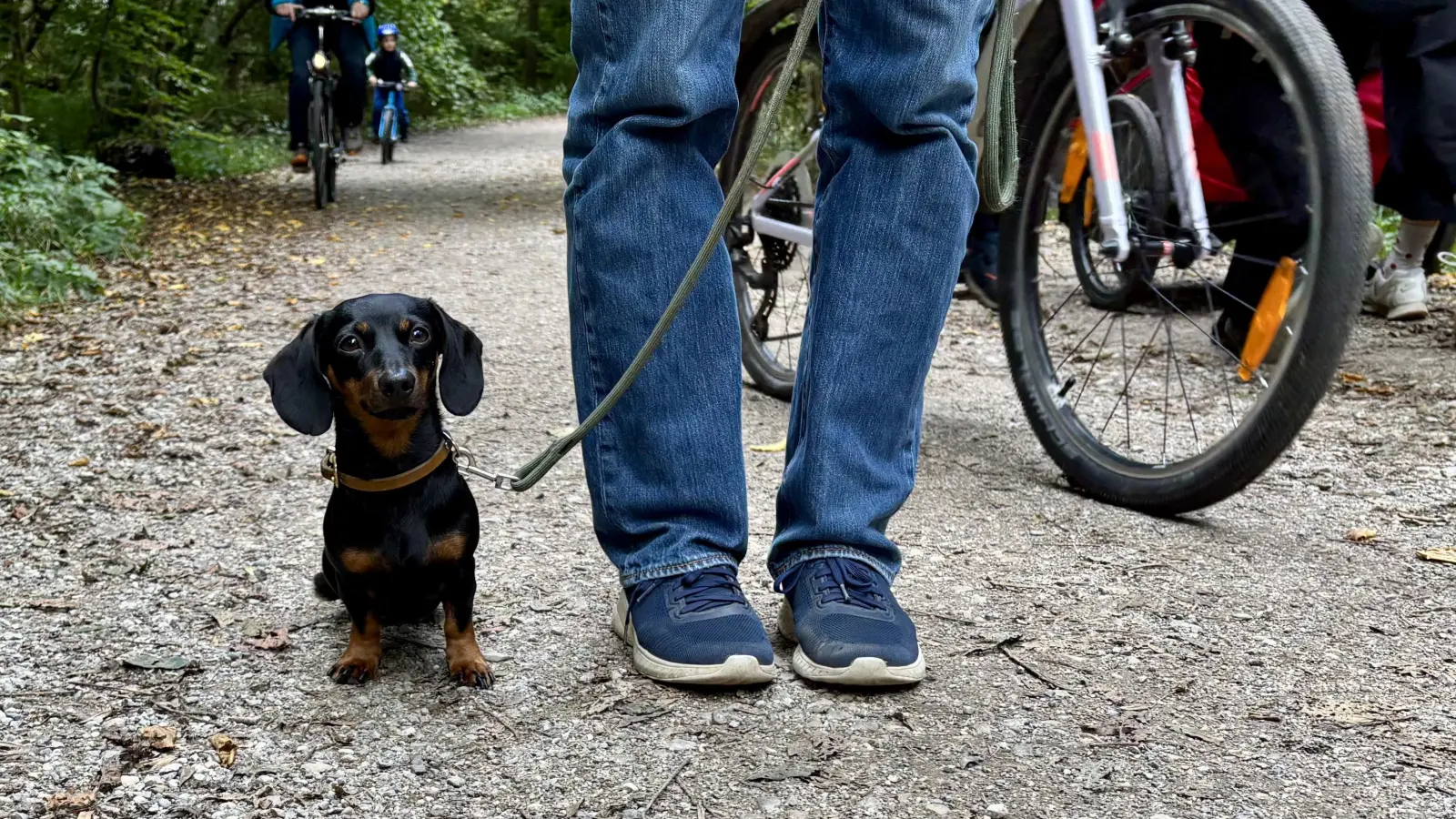 Der Bezirksausschuss 21 plädiert für ein gutes Miteinander im Stadtpark und stellt sich gegen eine Anleinpflicht. (Foto: Ulrike Seiffert)