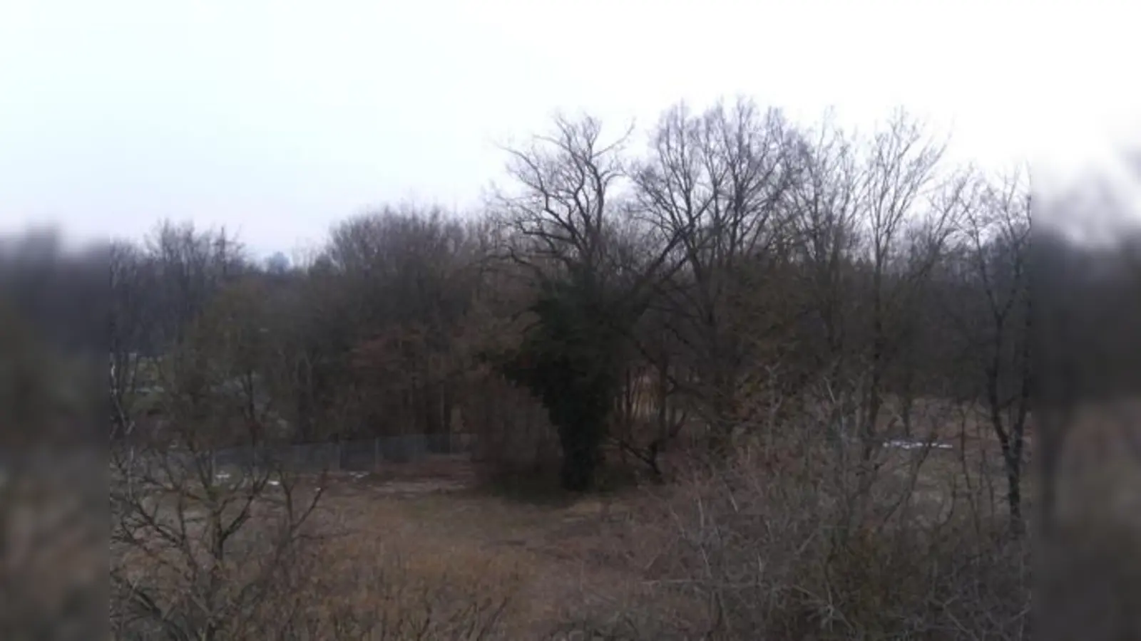 An der Nutzung des Virginia Depots scheiden sich die Geister  aktuell für Bürger geschlossen.	 (Foto: Soir)