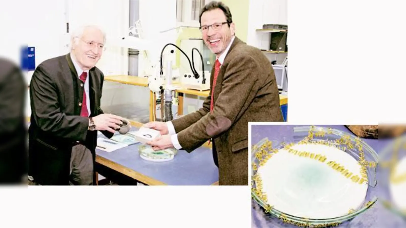 Aschheims damaliger Bürgermeister Helmut J. Englmann (oben links) und  Sebastian Sommer vom Bayerischen Landesamt für Denkmalpflege freuten sich über Funde aus der Römerzeit, darunter ein hochwertiger Glasteller.  (Fotos: bs)