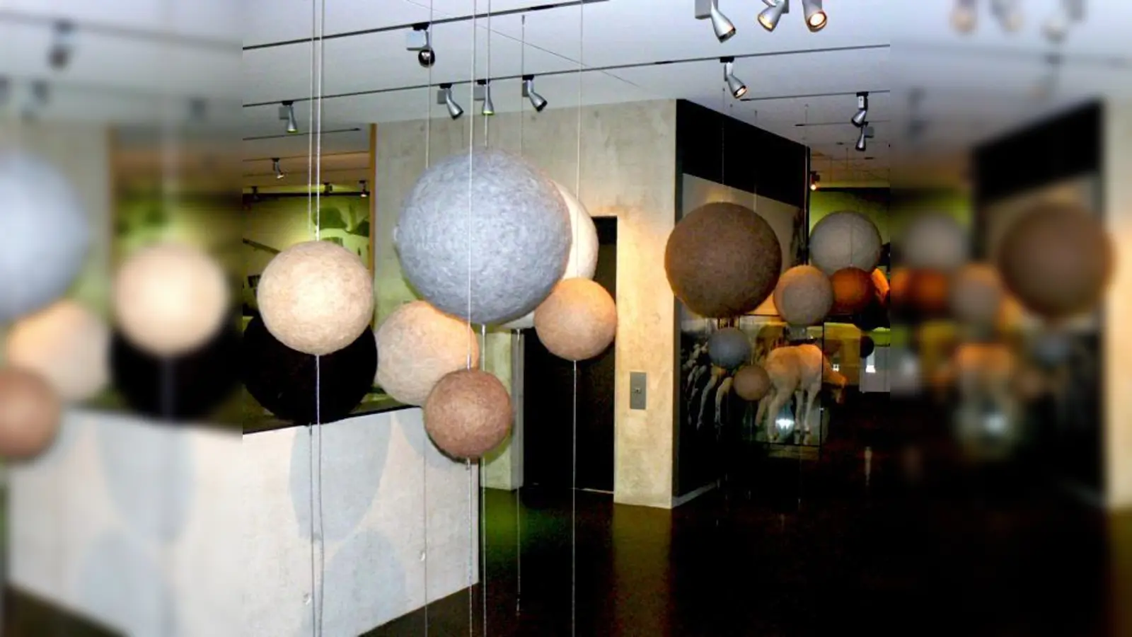 Auch durch die Loderer-Ausstellung im neuen Museum gibt es Führungen. 	 (Foto: Museum)
