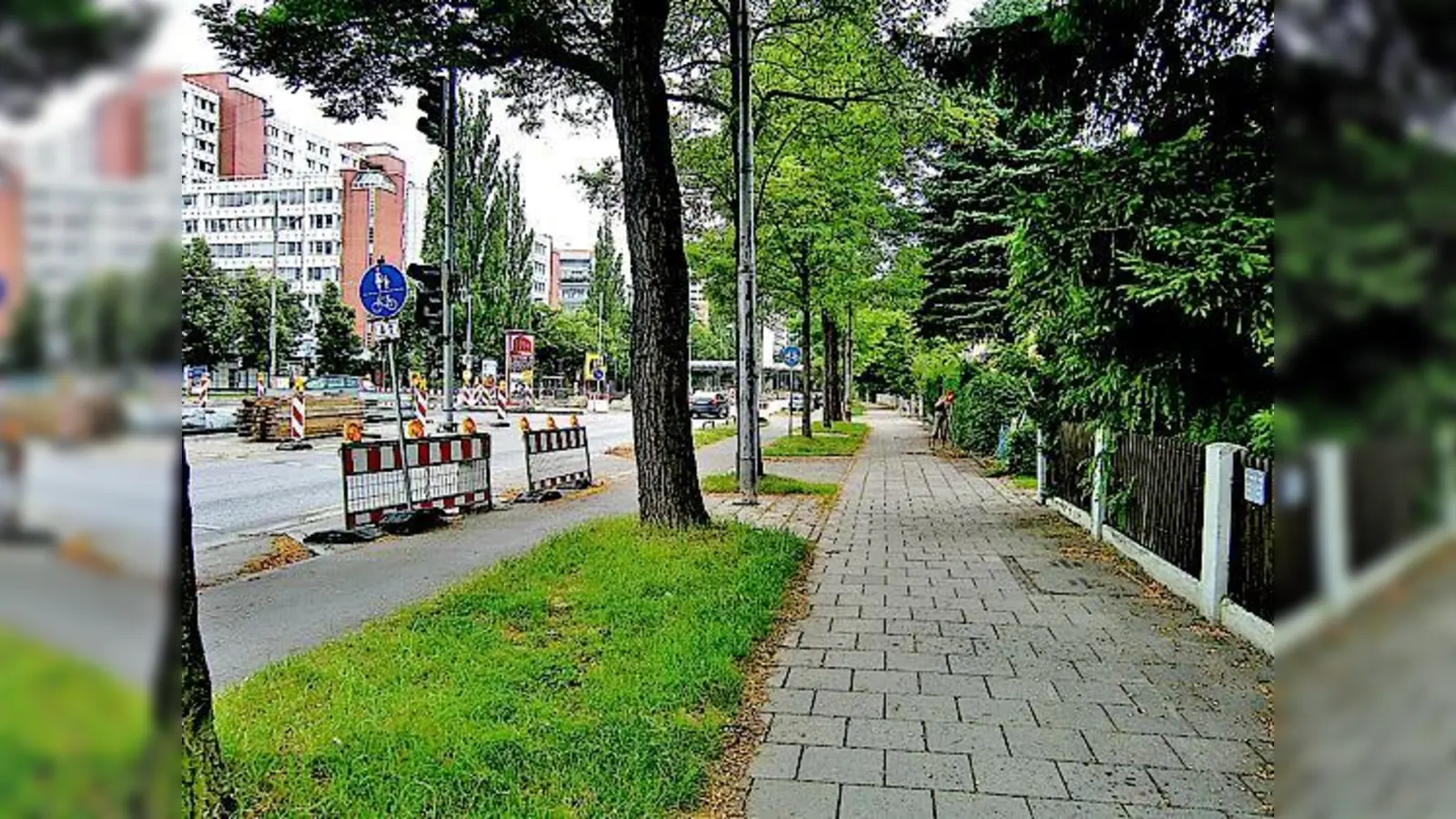 Eine Glaswand gegen Lärm wie am Effnerplatz wünschen sich Anlieger der Englschalkinger Straße. Die  Kommunalpolitiker lehnten das Ansinnen ab, weil auch viele Bäume gefällt werden müssten.	 (Foto: ikb)
