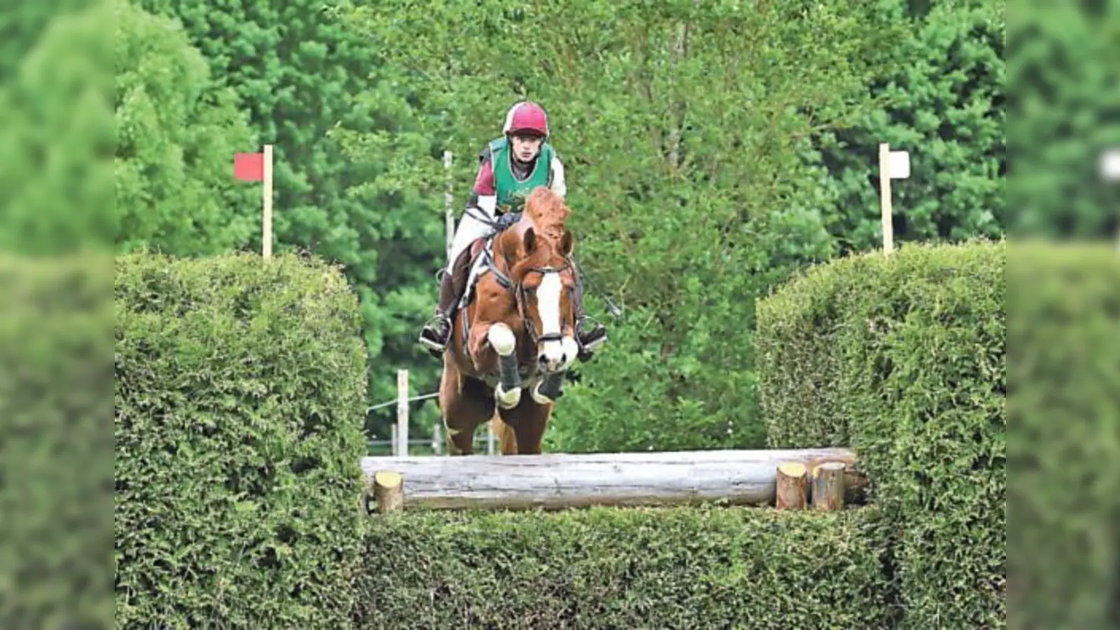 Sicher im Sattel: Sophie Grieger holte den ersten Platz in der Vielseitigkeitsprüfung.	 (Foto: RC Steinsee)