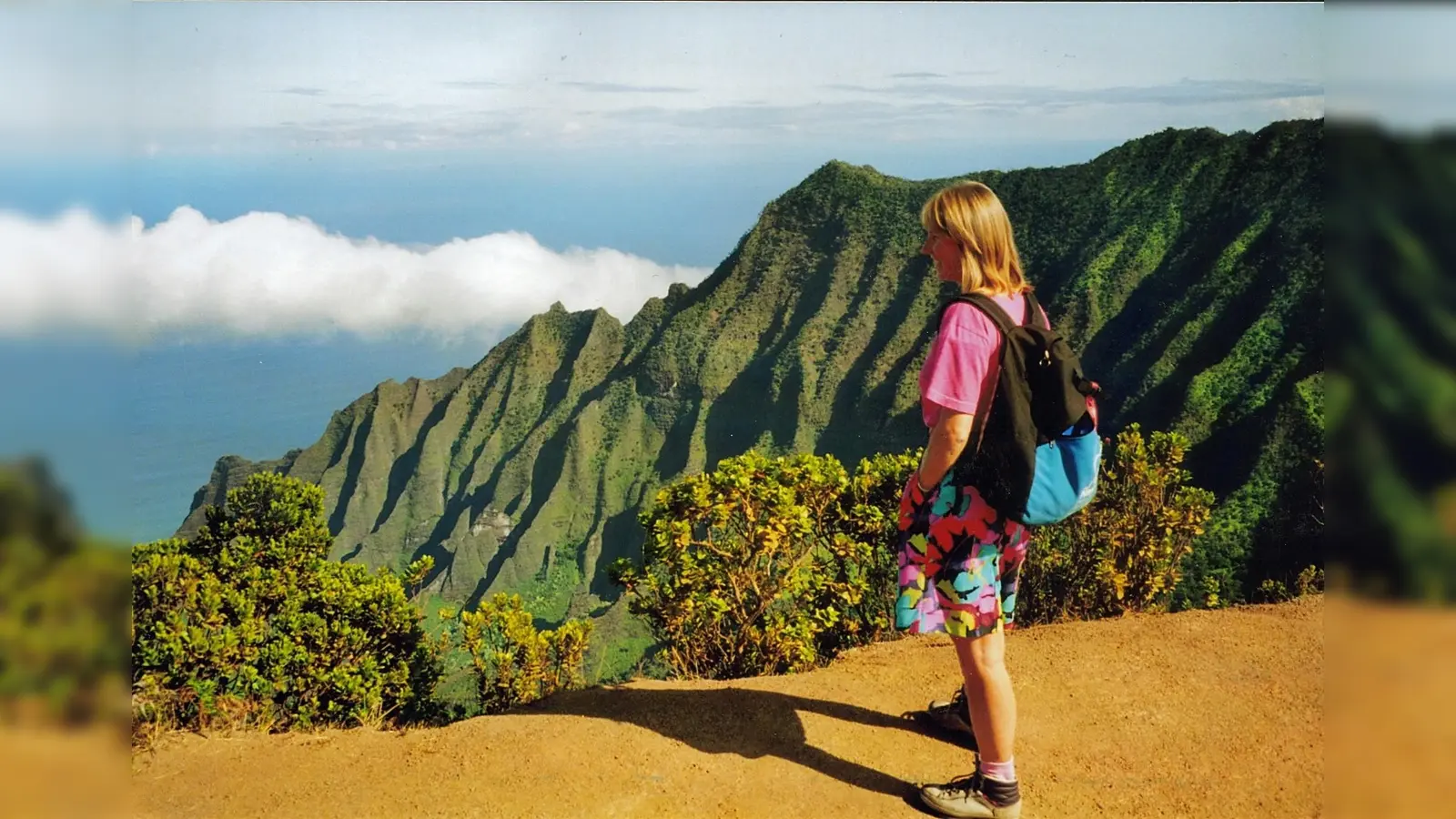 Hawaii ist einer der 50 Staaten Amerikas: und Thema des Filmabends. (Foto: VA)